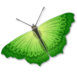 Butterfly PNG image-1018